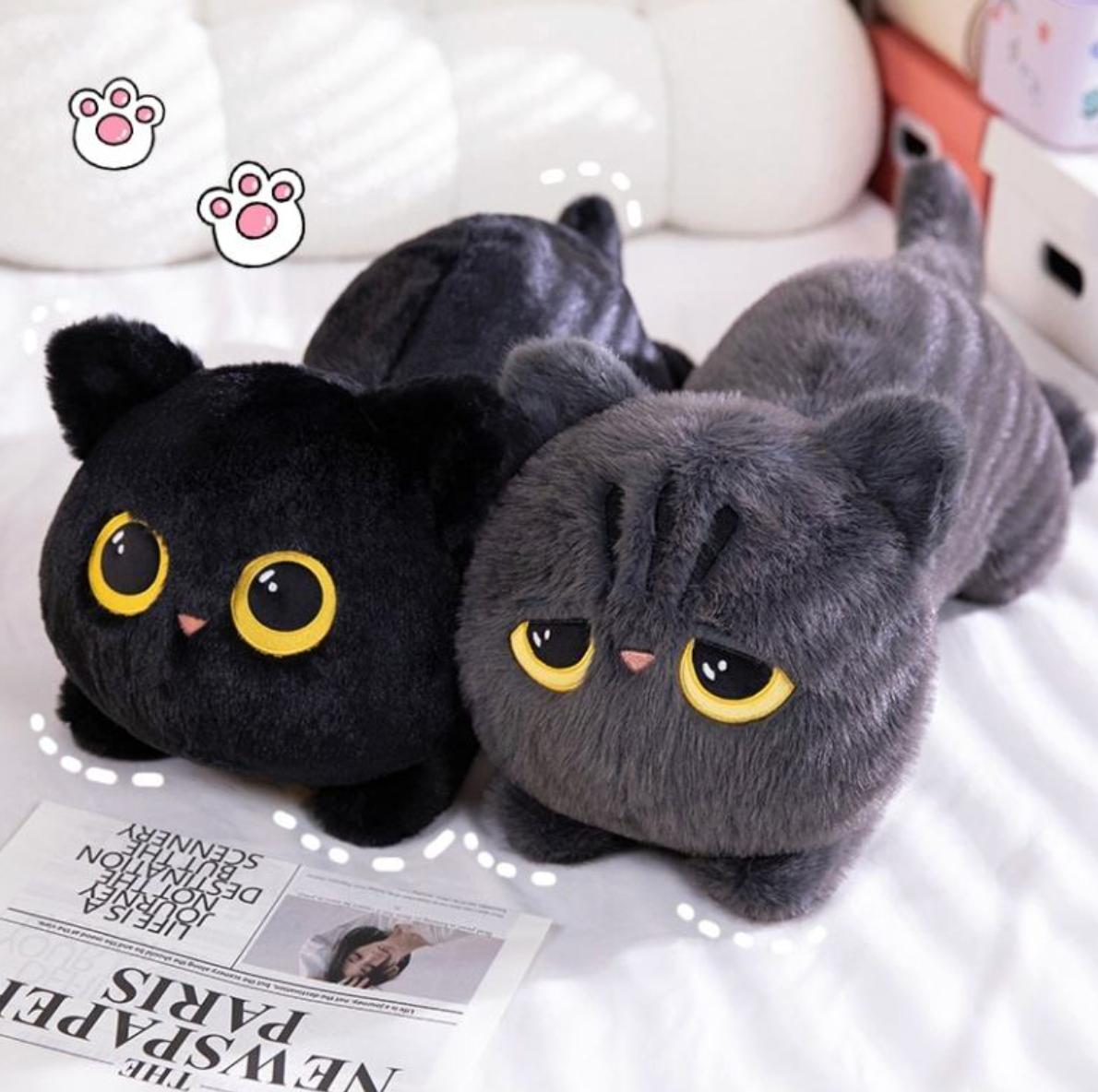 Cute Lying Cat