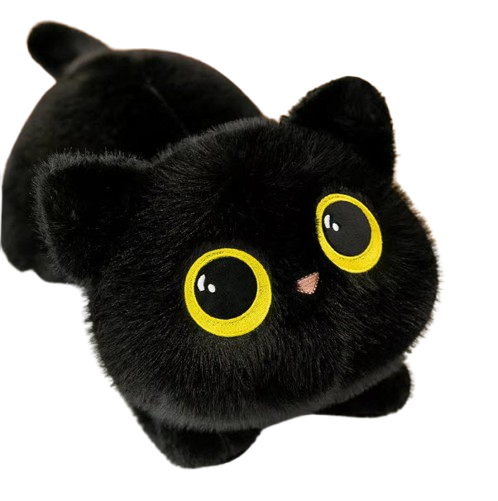 Cat Toys