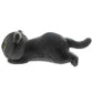 Cute Lying Cat