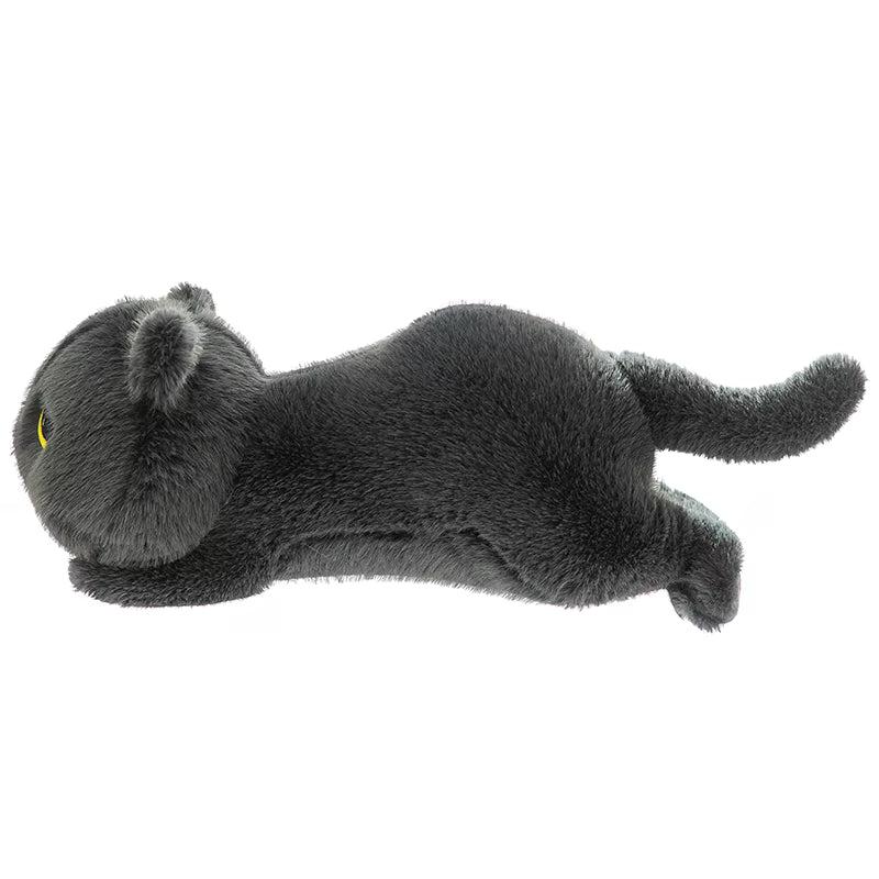 Cute Lying Cat