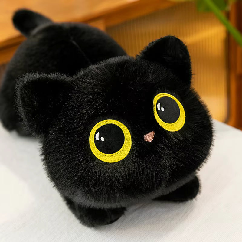 Cute Lying Cat