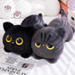 Cute Lying Cat