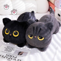 Cute Lying Cat